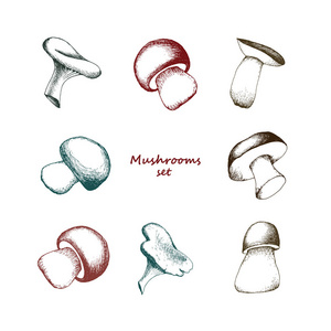 復古風潮下的匠心獨運 水暖業務圖標的矢量美學與品牌敘事